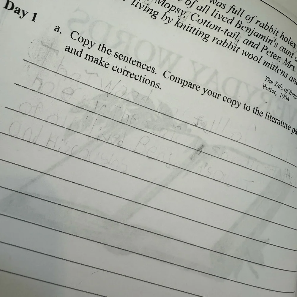 Learning Language Arts Through Literature, The Yellow Book, Student + Teacher - Picture 16 of 17